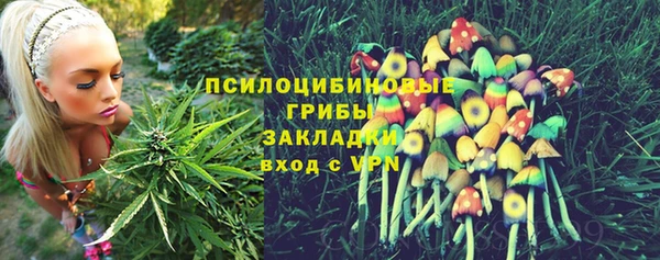 бутират Баксан
