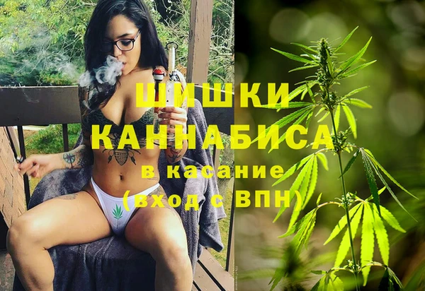 молекула духа Балахна