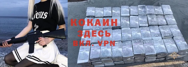 молекула духа Балахна