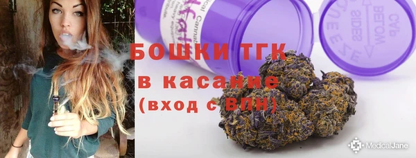 молекула духа Балахна